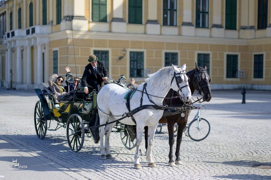 Vienna: Carriage Ride Through Schönbrunn Palace Gardens - The palace and formal Baroque gardens