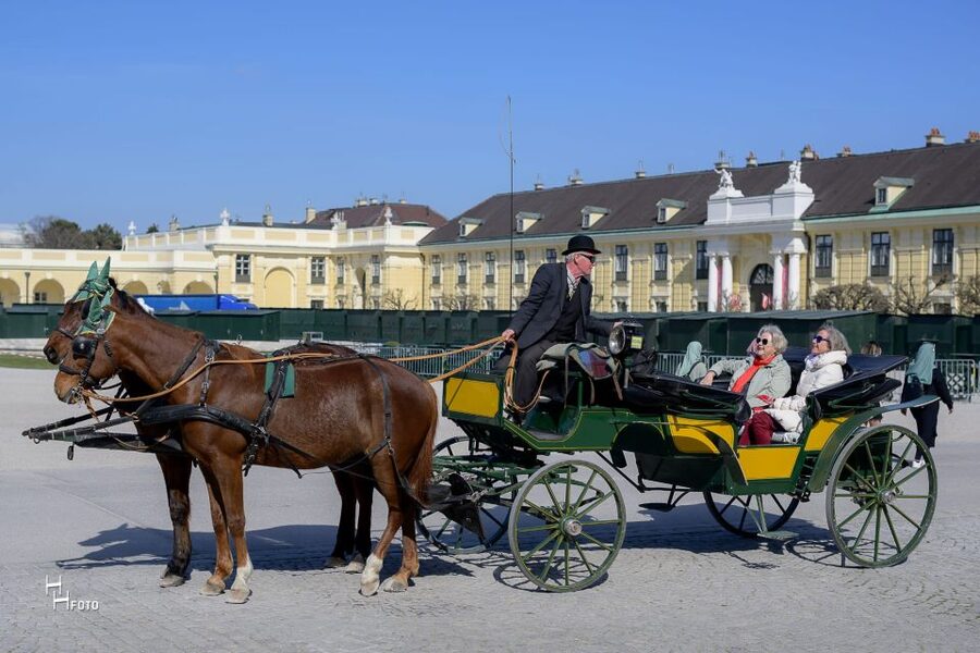 Vienna: Carriage Ride Through Schönbrunn Palace Gardens - Gloriette views across the grounds