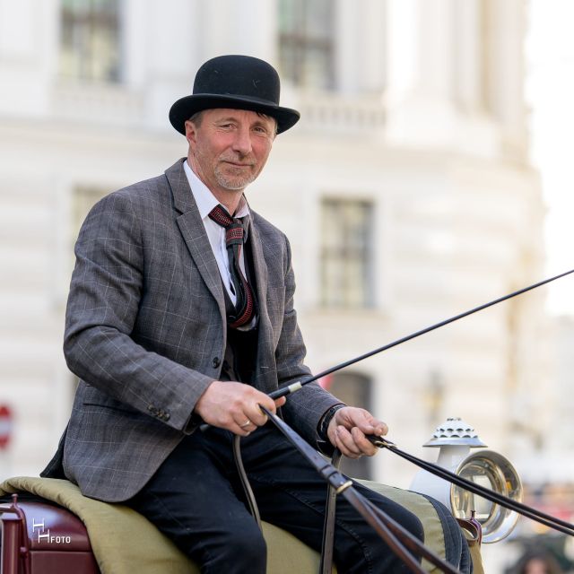 Vienna: Carriage Ride Through Schönbrunn Palace Gardens - What the Fiaker commentary adds