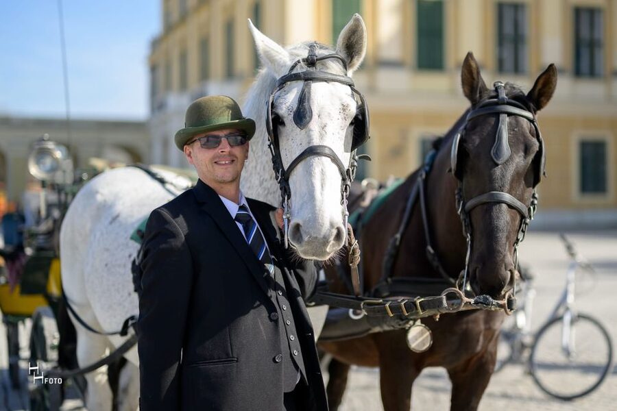 Vienna: Carriage Ride Through Schönbrunn Palace Gardens - Is $108 good value for four people?
