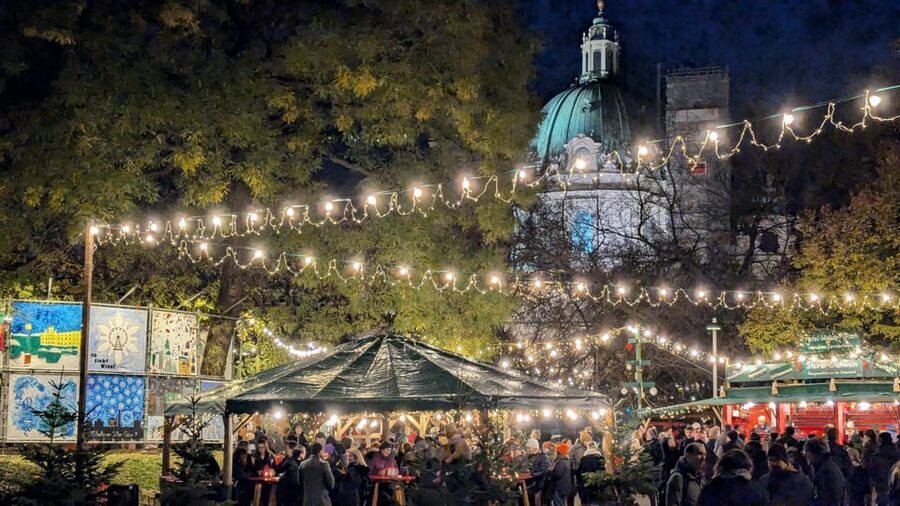 Vienna: Christmas Market Food and Drinks Tour - What the guide adds to the food