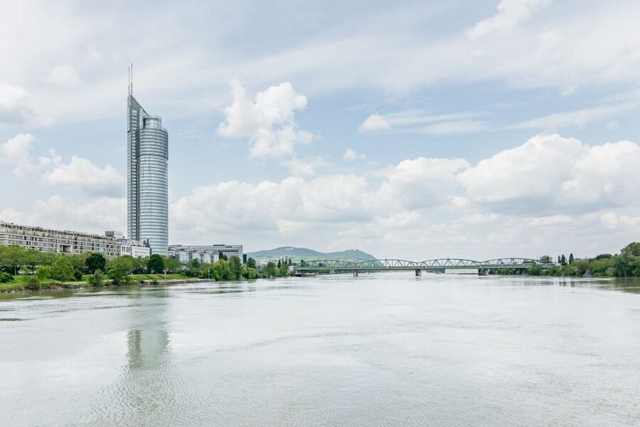 Vienna: City Cruise with Optional Lunch - Why the lunch option can change the value