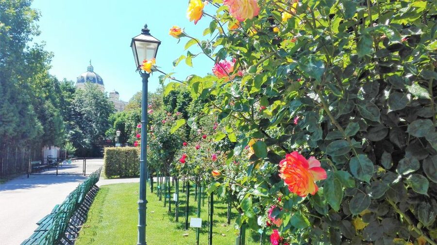 Vienna: City Highlights Guided Walking Tour & Old Town - Why this two-hour route works for a first look at Vienna