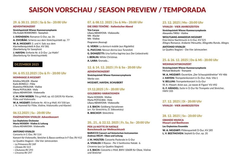 Vienna: Classical Concerts in the Minorite Church Ticket - What the 70-Minute Visit Feels Like