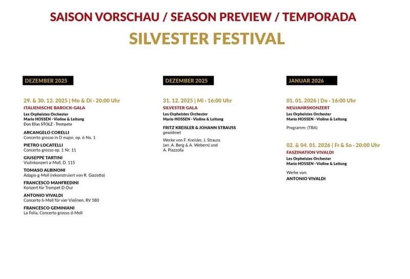 Vienna: Classical Concerts in the Minorite Church Ticket - Comfort, Temperature, and Accessibility