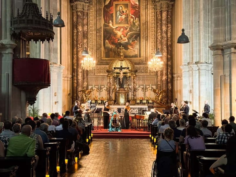 Vienna: Classical Concerts in the Minorite Church Ticket - Who Should Book This Concert?