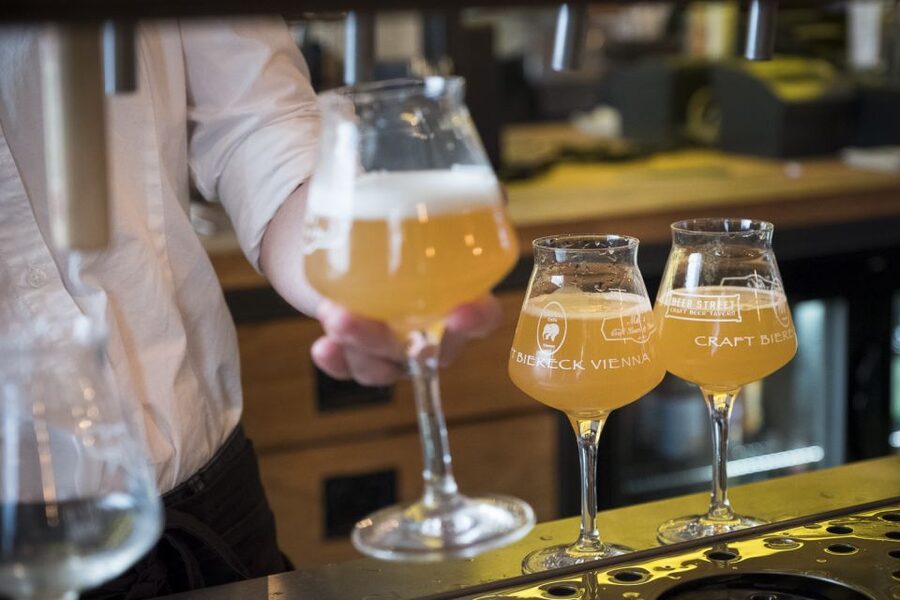 Vienna: Craft Beer Tasting Experience with Local Snacks - Key points before you book