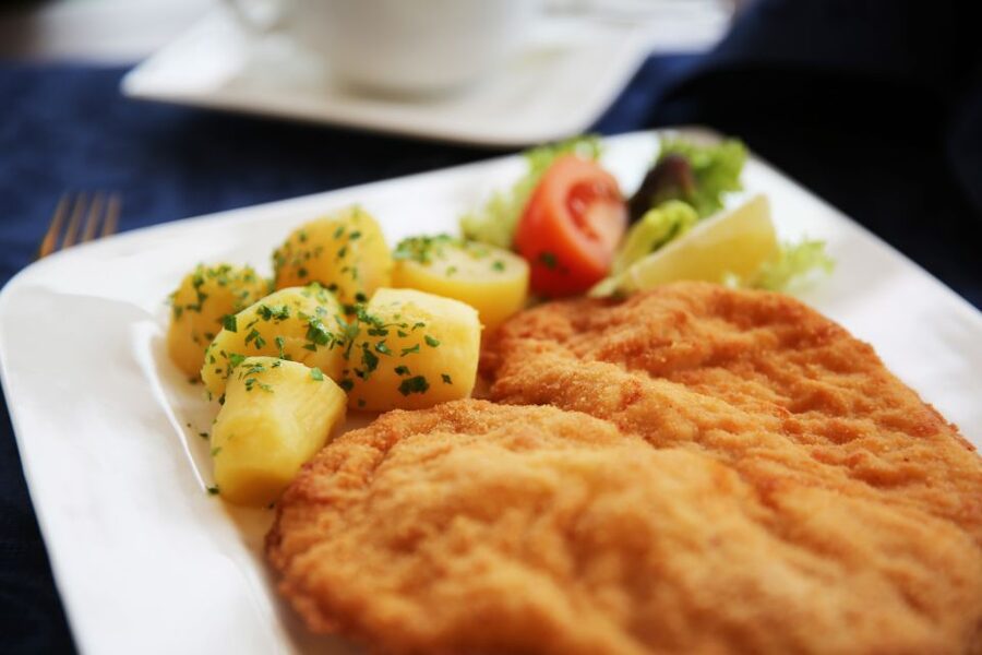 Vienna: Cruise and Schnitzel Tour - Cancellation and Booking Flexibility