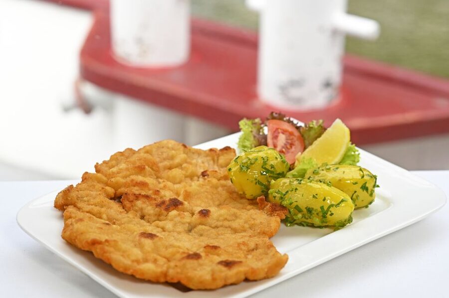 Vienna: Cruise and Schnitzel Tour - Indoor Comfort or Outdoor Views?