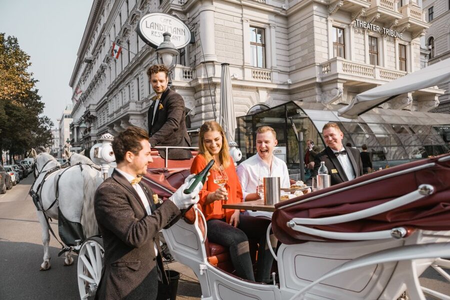 Vienna: Culinary Horse-Drawn Carriage Experience - Booking advice for a smoother ride