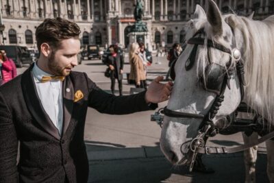 Culinary Horse-Drawn Carriage Experience