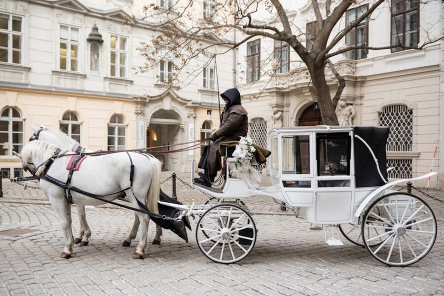 Vienna: Culinary Horse-Drawn Carriage Experience - Is $229 good value for four?