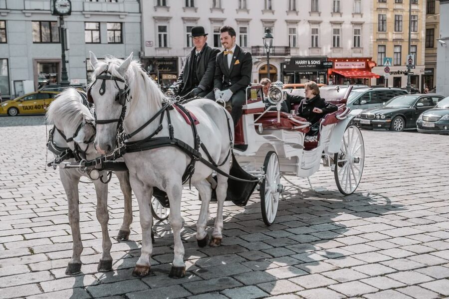 Vienna: Culinary Horse-Drawn Carriage Experience - Rain, snow, and the character of the ride