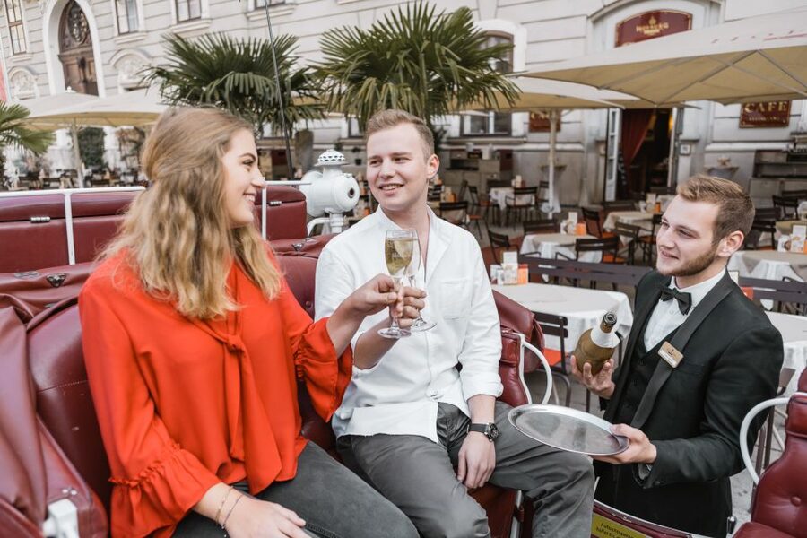 Vienna: Culinary Horse-Drawn Carriage Experience - Who will enjoy this most