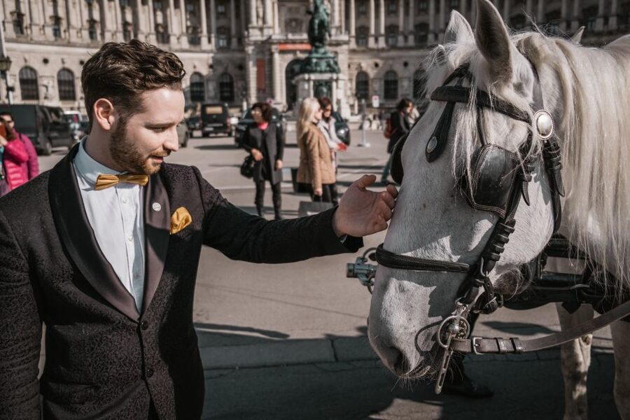 Vienna: Culinary Horse-Drawn Carriage Experience - The route through Vienna’s grand center