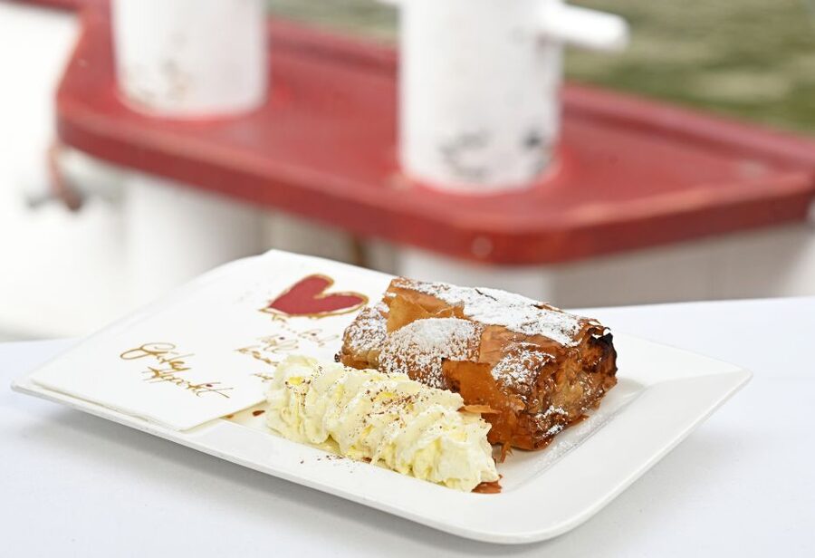 Vienna: Danube River Cruise w/ optional Viennese Specialties - What this Danube cruise actually shows you