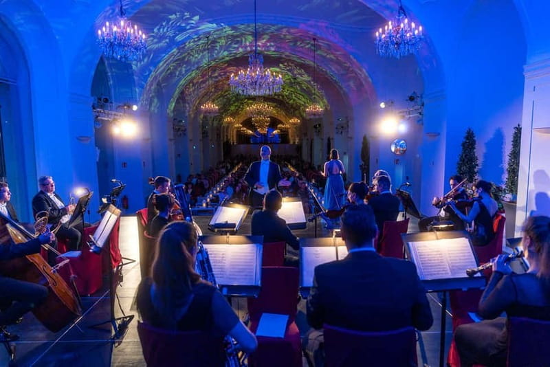 Vienna: Dinner & Concert at Schönbrunn Palace - Who will enjoy this evening most?