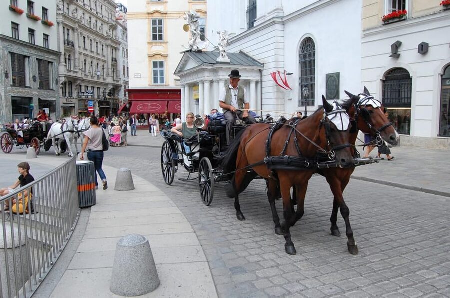 Vienna Full Day Tour from Prague - Is $191 a fair price?
