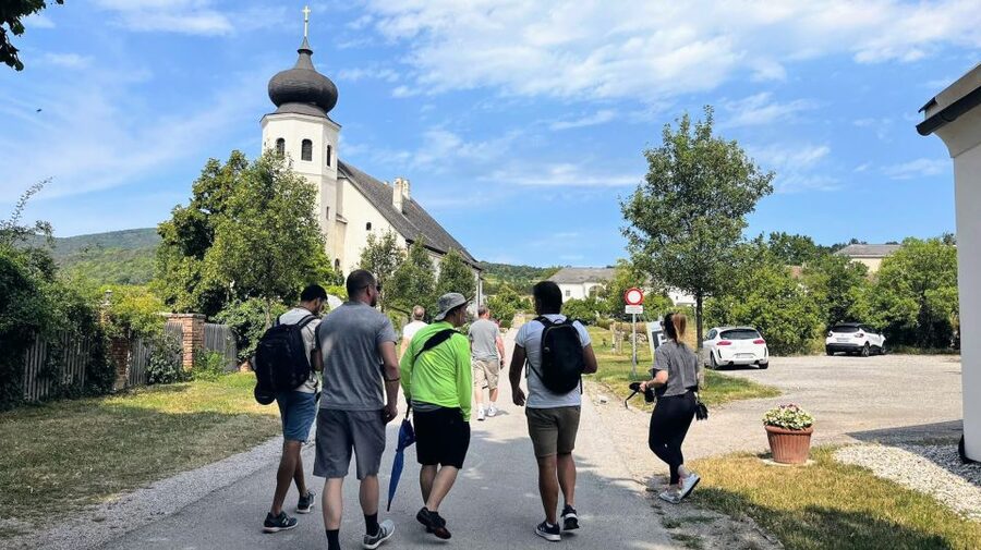 Vienna: Full-Day Vienna Woods Wine Tasting Tour - Winter route: monastic wine traditions and a shorter walk