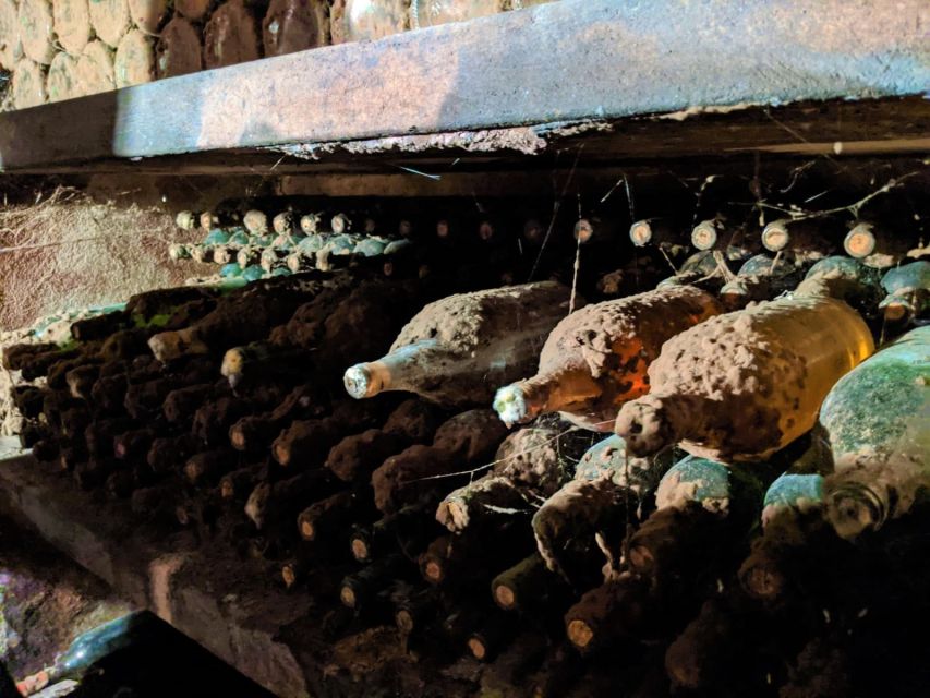 Vienna: Full-Day Vienna Woods Wine Tasting Tour - Gumpoldskirchen brings lunch and local wine
