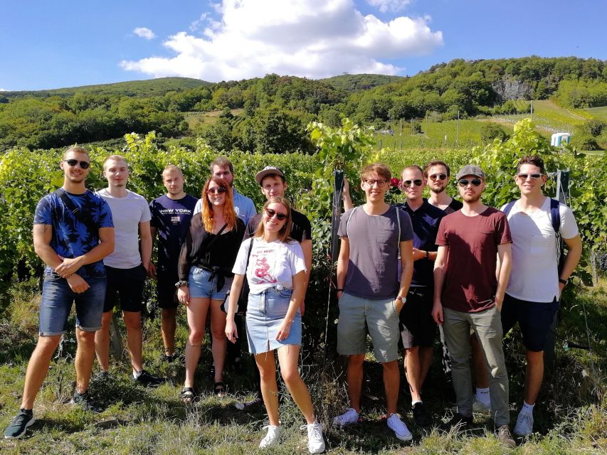 Vienna: Full-Day Vienna Woods Wine Tasting Tour - What the $187 price includes