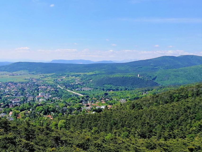 Vienna: Full-Day Vienna Woods Wine Tasting Tour - The guide can shape the whole day