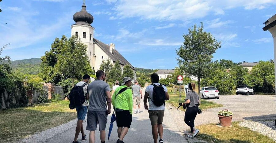 Vienna: Full-Day Vienna Woods Wine Tasting Tour - Summer route: Baden, forest trails, and the Vienna Basin