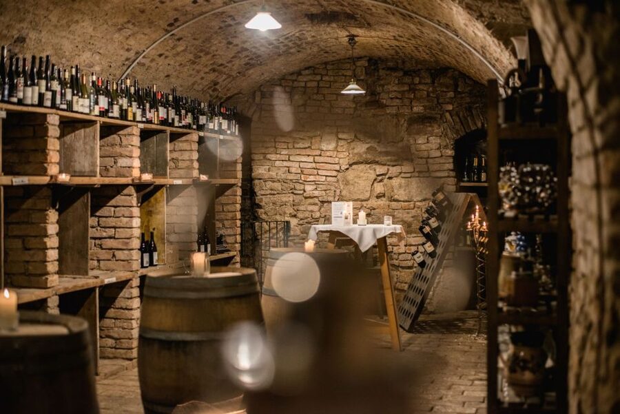 Vienna: Hidden Wine Cellars Tasting Experience - Three cellars, three different stops