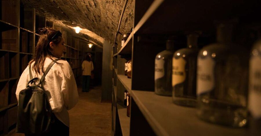 Vienna: Historical Pharmacy Cellar Guided Tour - Key points about Vienna’s pharmacy cellar
