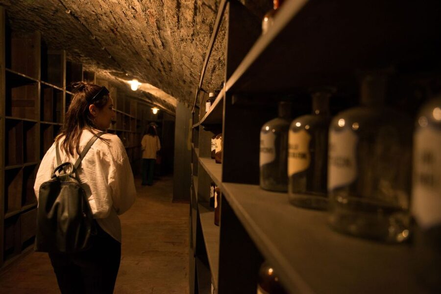 Vienna: Historical Pharmacy Cellar Guided Tour - Descending into Vienna’s hidden rooms