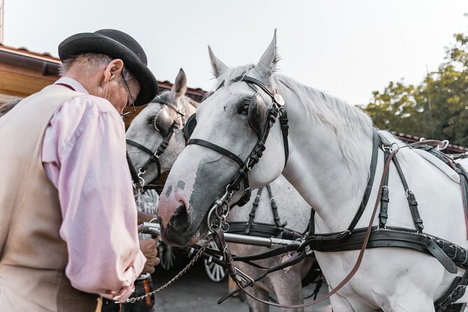 Vienna Horse-drawn Carriage Guided Tour - What makes this good value at $39.16