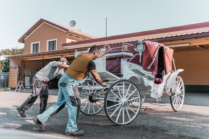 Vienna Horse-drawn Carriage Guided Tour - Family comfort and group size
