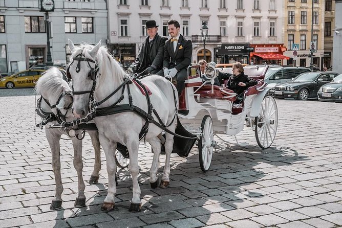 Vienna Horse-Drawn Carriage Ride with Sparkling Wine and Food - Key things to know before booking