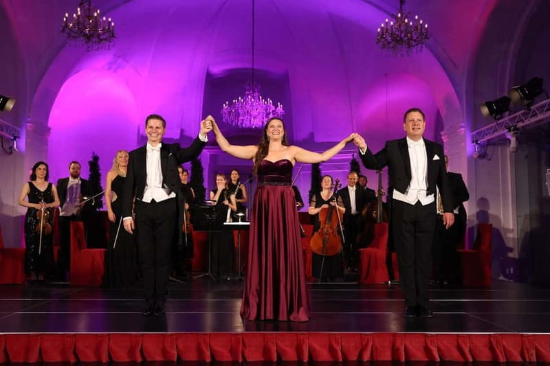 Vienna: Mozart and Strauss Concert at Schönbrunn - Who Should Book This Concert?
