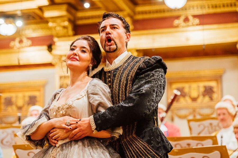 Vienna: Mozart Concert and Austrian Delights Dinner - Who will enjoy this experience most?