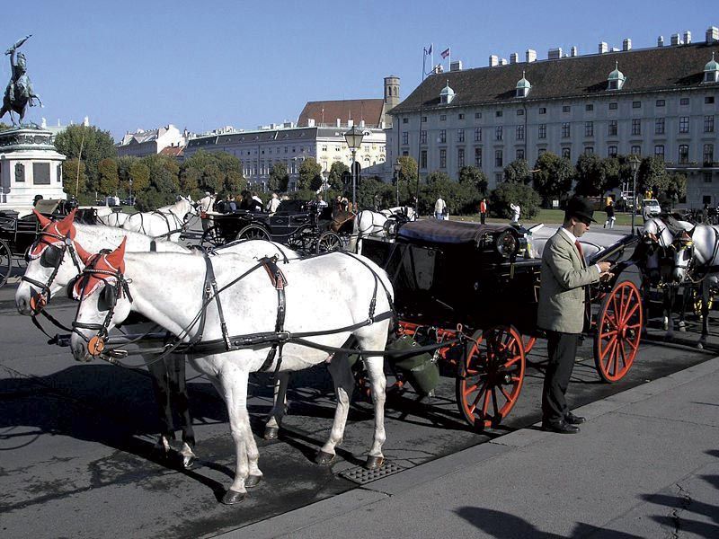Vienna: Mozart Concert with Dinner and Carriage Ride - Who will enjoy this evening most?