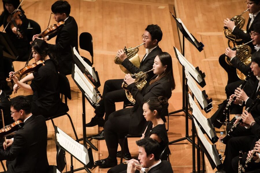 Vienna: Mozart Private Guided Tour - The optional evening concert