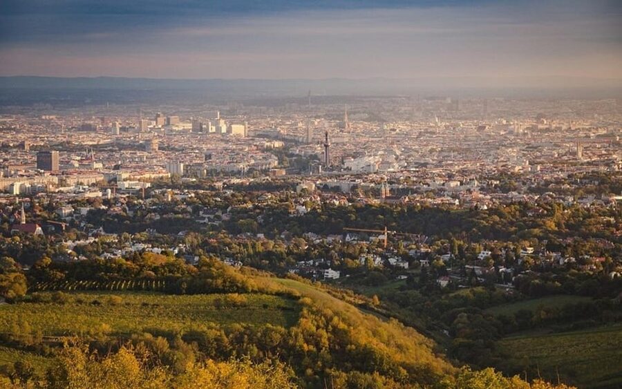 Vienna: Private Half-Day Sightseeing Tour - Belvedere Palace and the art option