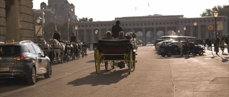 Vienna: Private Walking Tour to The Hofburg & Graben Street - Starting at Albertina Square