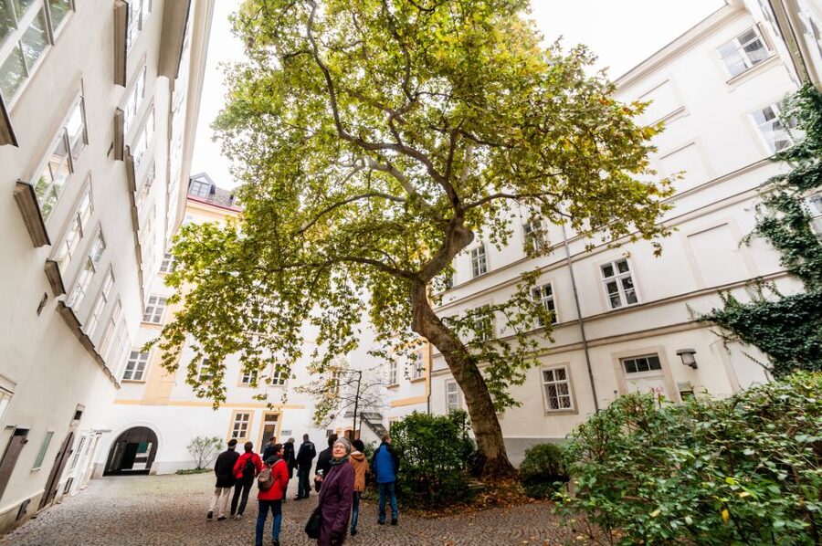 Vienna: Romantic Old Town 2-Hour Discovery Tour - Is $352 a fair price for two hours?
