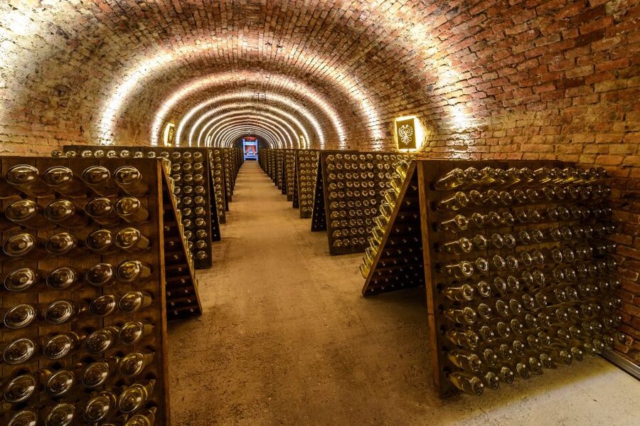 Vienna: Schlumberger Wine Cellar Guided or Self-Guided Tour - Entering Schlumberger’s cellar world