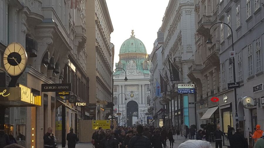 Vienna: Schönbrunn Palace and City Center Guided Tour - Michaela Square and Graben