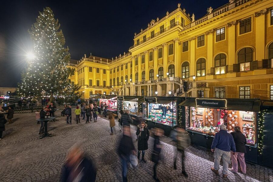 Vienna: Schönbrunn Palace & Christmas Market Walking Tour - Key points to know before you book