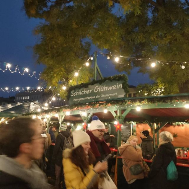 Vienna: Schönbrunn Palace & Christmas Market Walking Tour - Who will enjoy this Schönbrunn visit most?