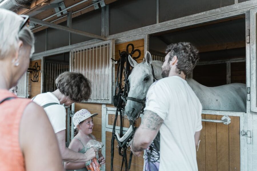 Vienna: Secrets of the Fiaker & Horse-Drawn Carriage Ride - FAQ