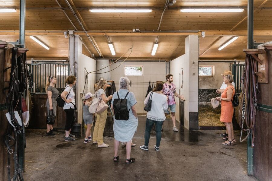 Vienna: Secrets of the Fiaker & Horse-Drawn Carriage Ride - Inside the stable: horses before sightseeing
