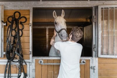 Secrets of the Fiaker & Horse-Drawn Carriage Ride