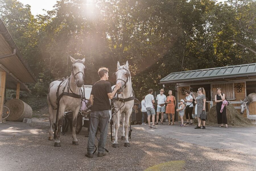 Vienna: Secrets of the Fiaker & Horse-Drawn Carriage Ride - Arriving near Michaelerplatz or Stephansplatz
