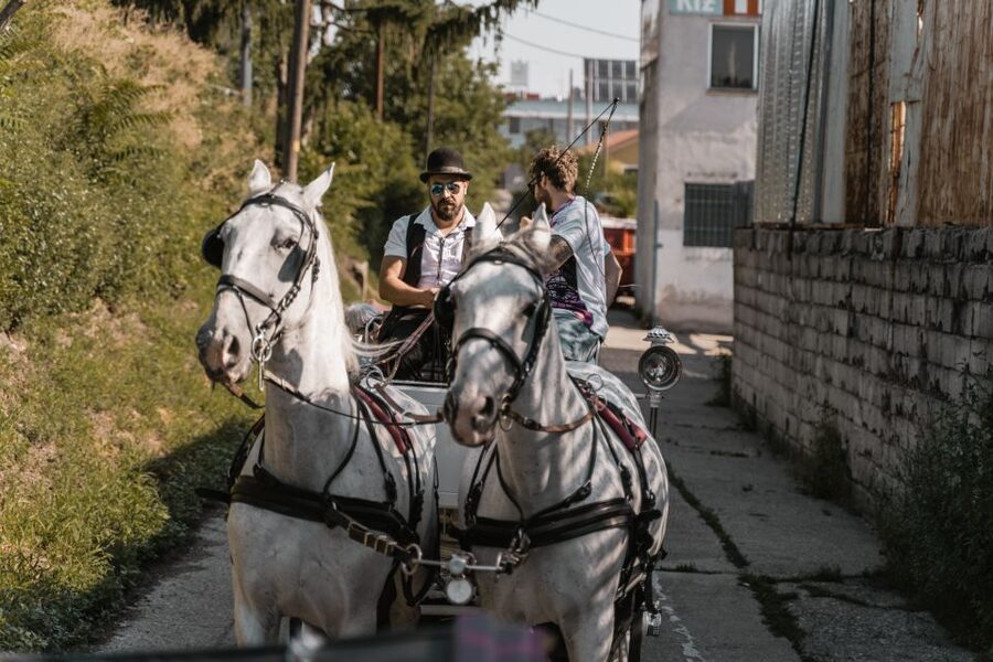Vienna: Secrets of the Fiaker & Horse-Drawn Carriage Ride - Should you book the Vienna Fiaker stable tour?