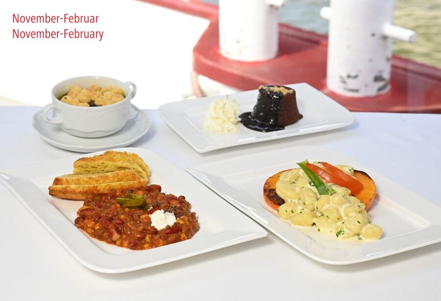 Vienna: Sightseeing Boat Tour with Lunch - Lunch on the MS Blue Danube